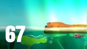 🐟 Pondlife - Relaxing Fish Game Walkthrough Part 67 | Mobile Gameplay (Android/iOS)