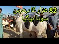 Malir mandi cattle rates update14may2024cow mandi update 