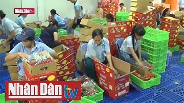 Thúc đẩy tiêu thụ nông sản trong bối cảnh dịch Covid-19