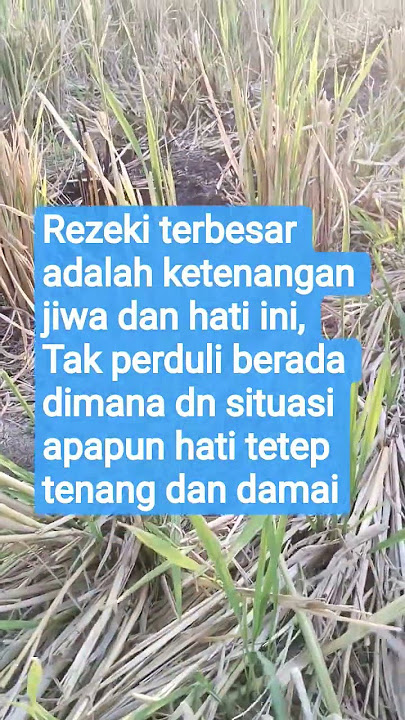 rezeki terbesar #rezeki #petani #sholawat