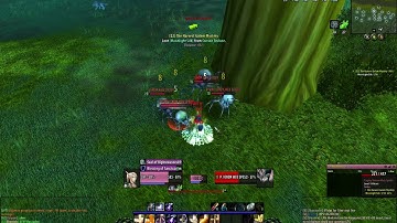 [Turtle WoW] Protection Paladin AoE grinding