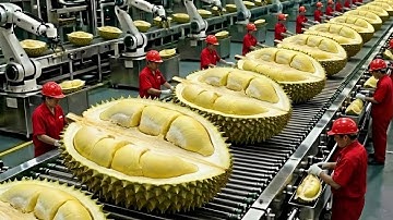 Shocking Facts! Inside a Modern Durian Factory Revealed (The entire process) | Inside The Factory
