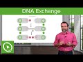 DNA Exchange: Transformation, Conjugation & Transduction – Microbiology | Lecturio