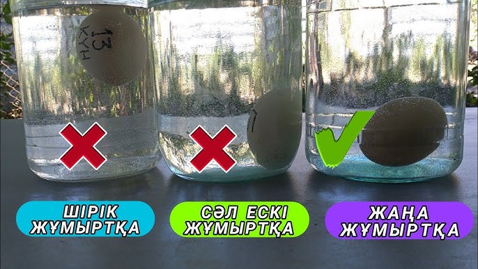 Саврандағы Skype секс