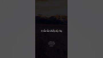 الشيخ محمد صديق المنشاوي سورة الفجر #قرآن_كريم #الشيخ_محمد_صديق_المنشاوي #الشيخ_المنشاوي #سورة_الحشر