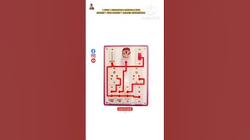 How To Connect 1 Fuse 1 Indicator 3 Switch 3 Socket 1 Holder #electricboardwiring #shorts #viral