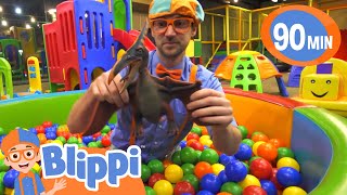 Blippi Visits an Kinderland Indoor Playground | Animals for Kids|Animal Cartoons|Learn about Animals