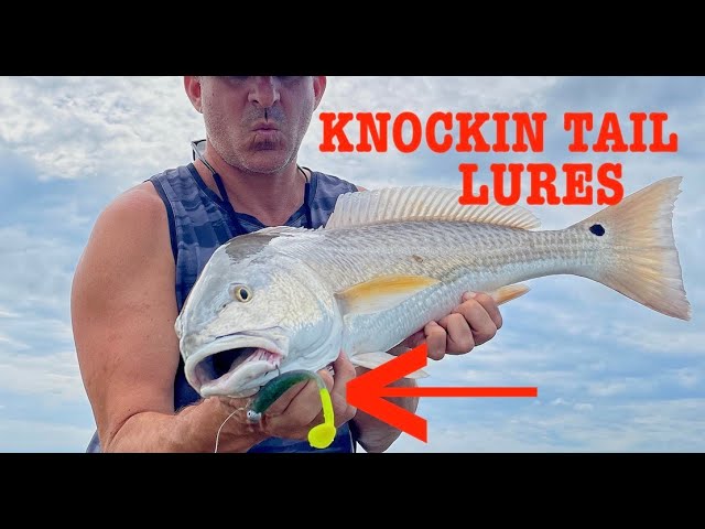 BAM! New Knocking Tail Lure WORKS!! 