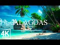 Alagoas 4K - Exploring the Pristine Beaches of Brazil's Hidden Gem | 4K VIDEO HD