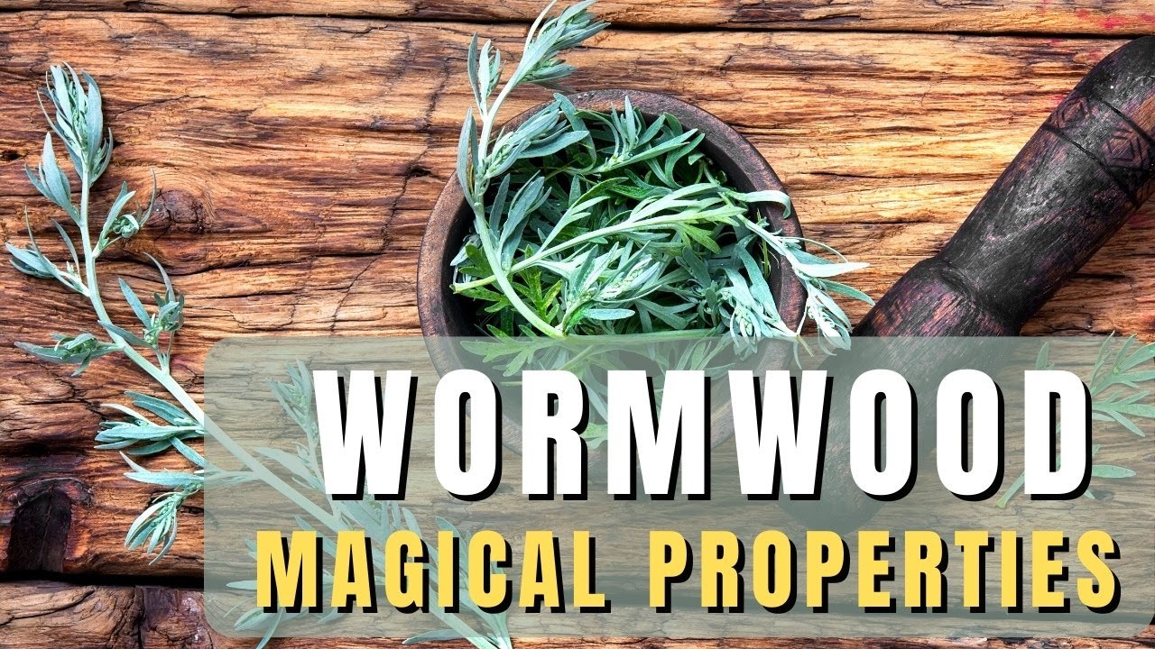 Wormwood loose herb magical properties of wormwood YouTube