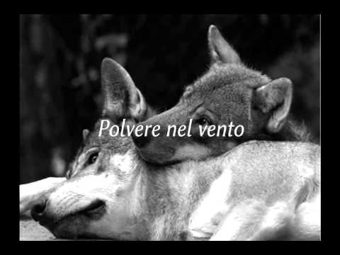 Video: Un Granello Di Polvere Nel Vento