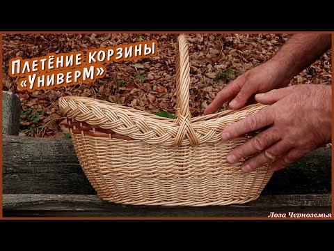 Video: Bassia шыпыргы