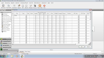Micropay setting up payments