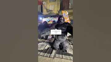 هو كام غوريلا في الفيديو بقي حد يعرف الغوريلا اكسبلور باندا ضحك ترند Panda تيك توك 