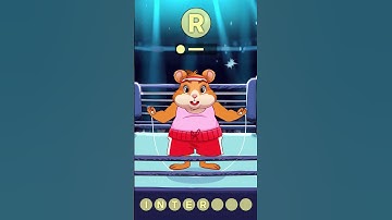 Hamster Kombat: 13th of September - Daily cipher