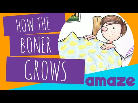 How The Boner Grows