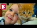 Кошка Мурка питомец Кати и Макса / VLOG / Покупаем все необходимое для кошек