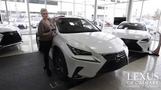 The Lexus Genuine Dash Camera