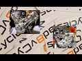 sv650 motor teardown