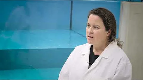 ERDC uses fish to improve autonomous systems (2019)