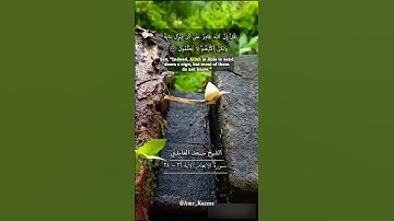 سورة الأنعام الآيات ٣٦-٣٨ بصوت الشيخ سعد الغامدي