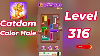 Catdom Color Hole Level 316 Walkthrough [NEW UPDATE] 🐱🟣 | Relaxing Color Puzzle Game | Go Answer