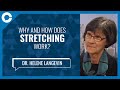 The Science of Stretch (w/ Dr. Helene Langevin, Harvard Medical School and Brigham Women’s Hospital)