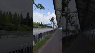 시화나래 길엔 그늘이 없어요 50km 자전거 질주 중 맞이한 유일한 쉼터, 태양광 패널 밑 그늘에서 느낀 작지만 깊은 시원함을 전합니다 240818 시화나래 141842