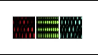 2D Time-dependent Schrodinger Equation Particle in a 2D box