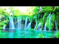 Mind relaxing music