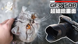 【富士GFX 50R】實試5140萬像素中幅相機超細緻連毛都Sharp