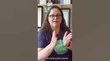 Can bacteria clean up oil spills?