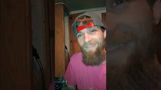 COTTON CANDY GRAPES (☁️🍭+🍇💚)😋 yum yum yum.... 🤤😋 😁 (TERPY TIME TASTE BUDS 🌿👅)