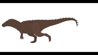 Movement and Tail Test