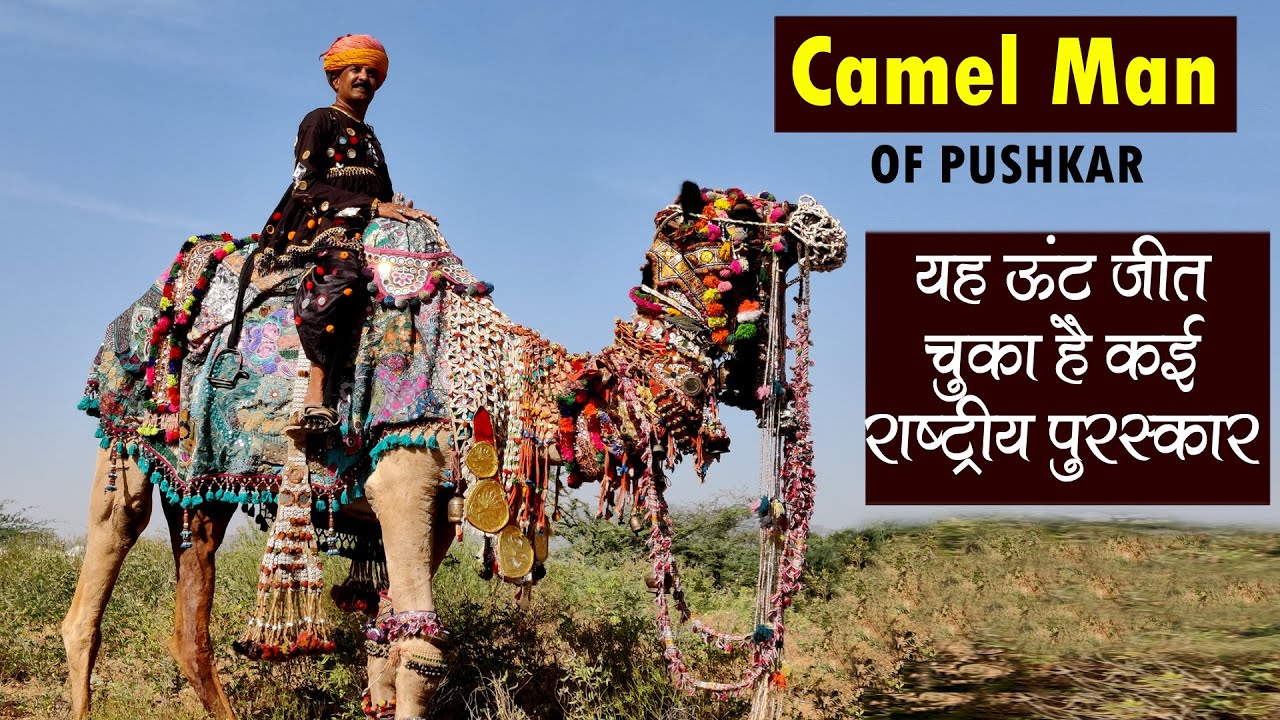 Camel man of rajasthan ashok tank | camel rajasthan | camel decorations rajasthan