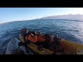 2016 Alaska Kayak Fishing Highlights