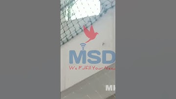 Building Bird netting Services