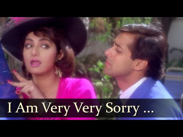 I Am Very Very Sorry Tera Naam | Salman Khan | Sridevi | Chand Ka Tukda | Bollywood Hit Songs class=