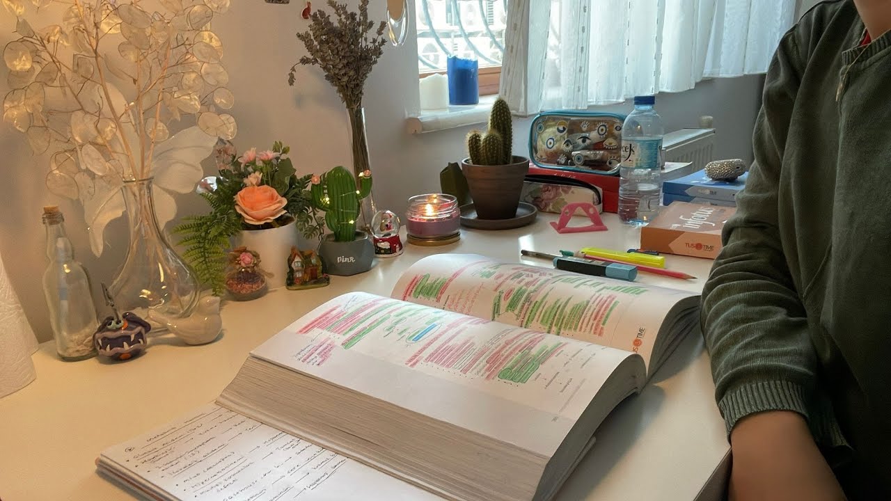 Study with me - Live (2 hours) #tus #medicine #doctor ᝰ.📓🗒 ˎˊ˗ - YouTube