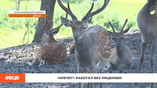 «Кречет» работал без лицензии / В центе внимания – 22 (19.04.2024)