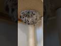 はみ出してるの