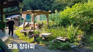 20230705 모둠 장아찌 담그기
