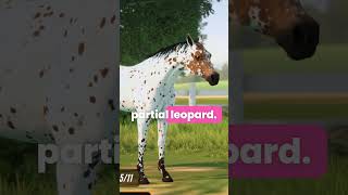 TOP 10 MOST POPULAR RIVAL STARS HORSE COATS ⭐#rivalstars screenshot 4