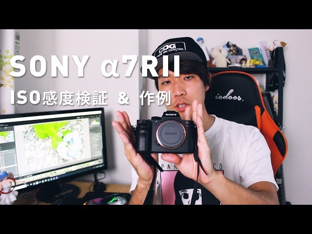 作例有り　ソニー SONY α7R Ⅱ レンズ付き SONY α7 II （ILCE-7M2）を徹底解説。作例からおすすめレンズ