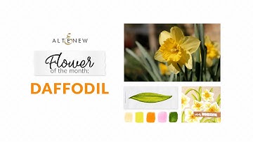 Get Creative with DAFFODILS for our #AltenewFloweroftheMonth​ March Challenge and Win Prizes!