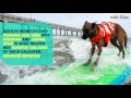 Port Aransas couple teaches dogs to surf, saved in process