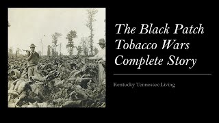 tobacco manufacturer license cost Increasing Tobacco Prices Through Non-Tax Approaches  Counter Tobacco