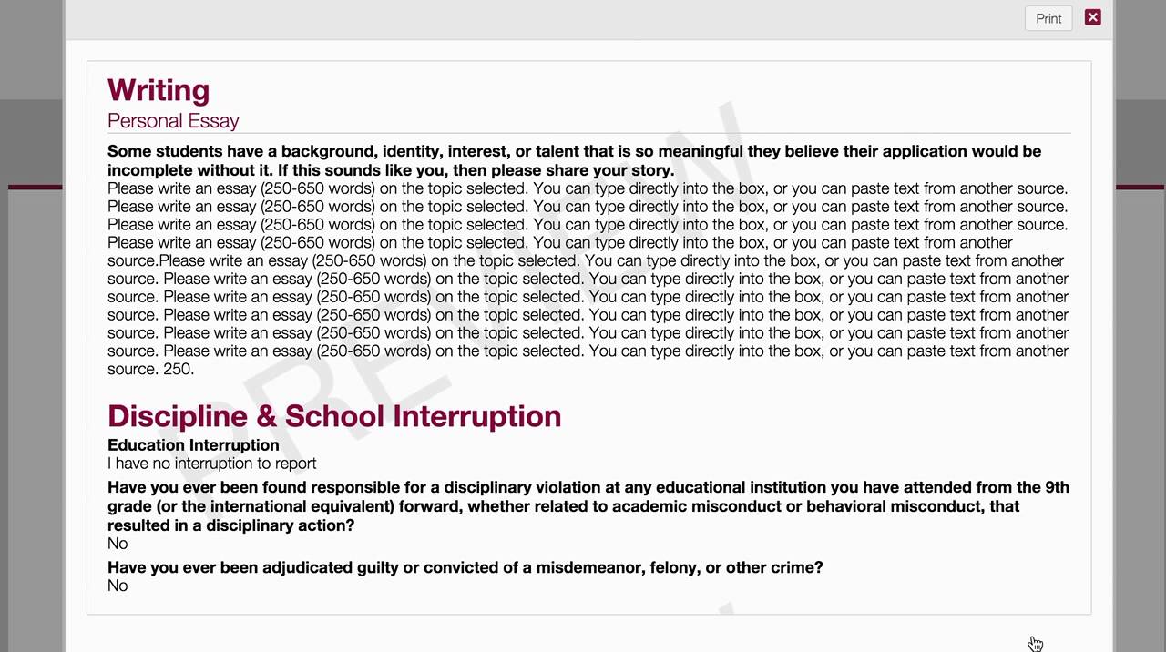common app preview