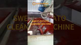 Sweet Potato Cleaning Machine Sweet Potato Washing Machine