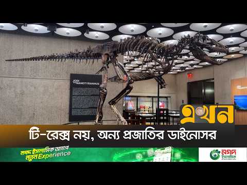 নিউইয়র্কে ন্যানোটাইর‍্যানাসের জীবাশ্ম দেখতে দর্শনার্থীদের ভিড় | Dinosaur Fossil Display | Ekhon TV